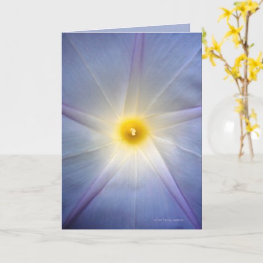 Winden-Herz Karte (Gelbe Blume)