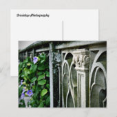Winden Postkarte (Vorne/Hinten)