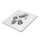 Winden Redoute Keramik-Fliese Fliese (Seite)