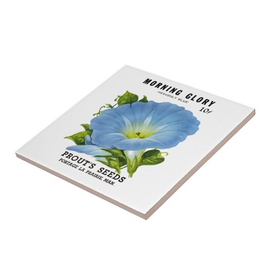 Winden-Vintages Samen-Paket Fliese (Seite)