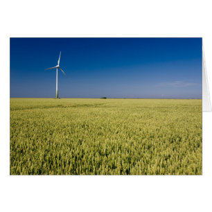 Windenergie