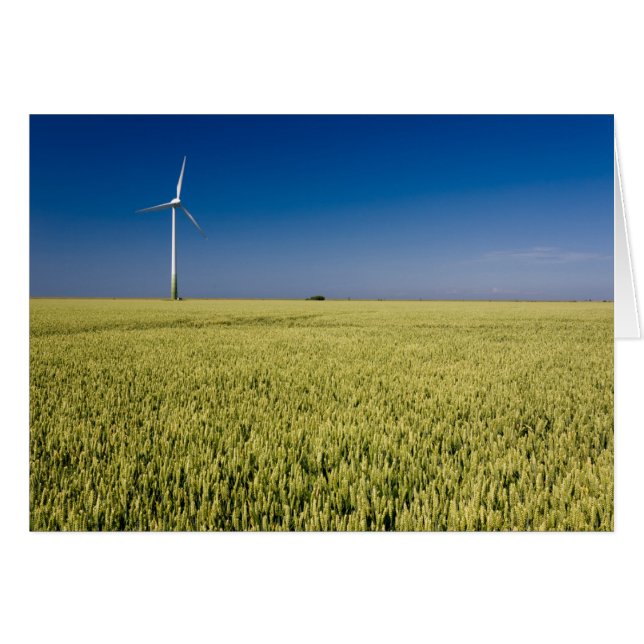 Windenergie (Vorderseite (Horizontal))