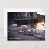 Windermere, Lake District, England Feiertagspostkarte (Vorne/Hinten)