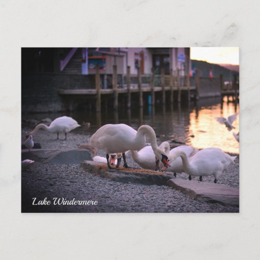 Windermere, Lake District, England Feiertagspostkarte (Vorderseite)