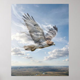 Windfalke Offener Horizont Poster