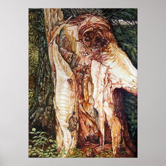 WINDFALL POSTER (Vorne)