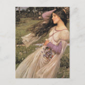 WiNDFLoWERS, von John William Waterhouse, 1902 Postkarte (Vorderseite)