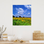 Windgekehrte Felder und Himmel Poster (Küche)