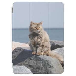 Windgekehrte Katze auf See Foto iPad Air Hülle