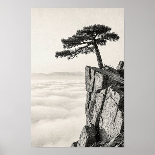 Windgewehte Kiefer über den Wolken Poster (Vorne)