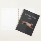 WINDHOUND-ZEICHNUNG PLANER (Anzeige)