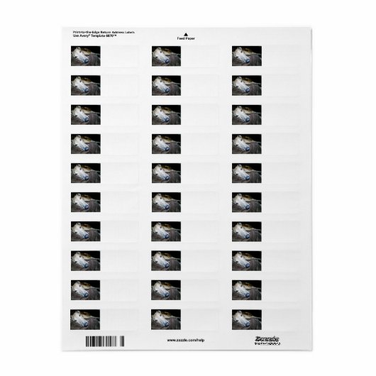 Windhund 2.png (Vorne)