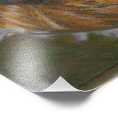 Windhund am Strand Fotodruck (Ecke)