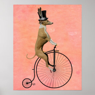 Windhund auf schwarzem Penny-Farthing Poster