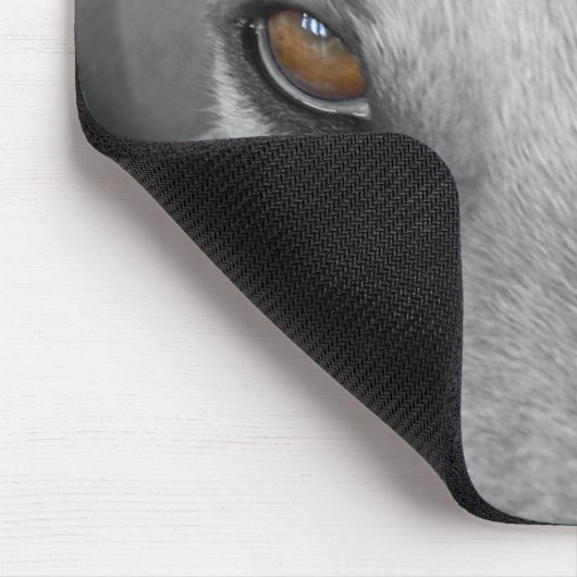Windhund-Augen Mousepad (Ecke)