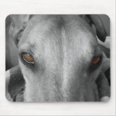 Windhund-Augen Mousepad (Vorne)