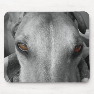 Windhund-Augen Mousepad