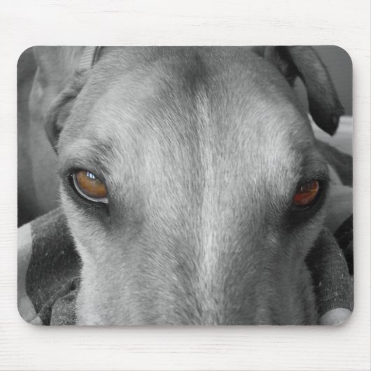 Windhund-Augen Mousepad (Vorne)