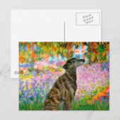 Windhund (br2) - Garten Postkarte (Vorne/Hinten)
