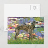 Windhund (br8) - Lilien 2 Postkarte (Vorne/Hinten)