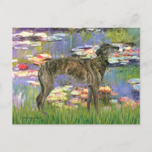Windhund (br8) - Seerosen 2 Postkarte