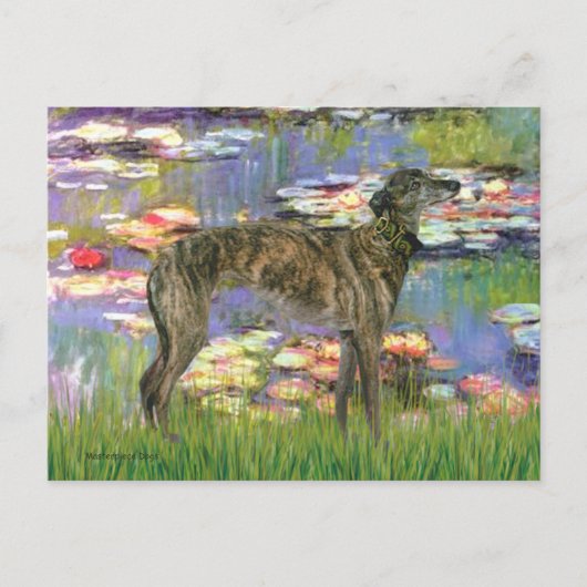 Windhund (br8) - Seerosen 2 Postkarte (Vorderseite)