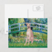 Windhund (Farm 2) - Brücke Postkarte (Vorne/Hinten)