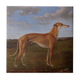 Windhund Fliese
