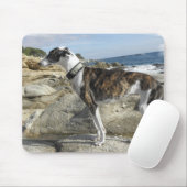 Windhund fotografiert Mausunterlage Mousepad (Mit Mouse)
