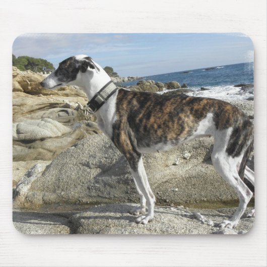 Windhund fotografiert Mausunterlage Mousepad (Vorne)