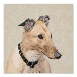 Windhund-Gemälde - Süße originelle Hundekunst Poster