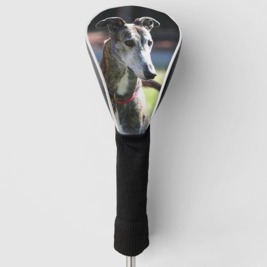 Windhund Golf Headcover (Vorderseite)