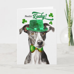 Windhund Hund fühlt sich am St. Patrick's Day glüc Feiertagskarte