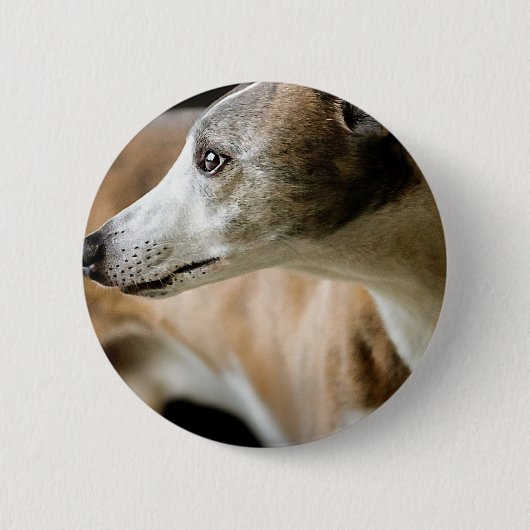 Windhund-Hundeknopf Button (Vorderseite)