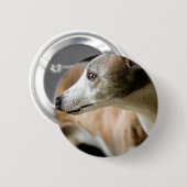 Windhund-Hundeknopf Button (Vorne & Hinten)