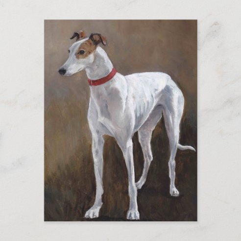 Geburtstagskarte Mit Windhund-Motiv - Luxuriöse Blanko-Karte Von Artery8 (17,5 X 12,5 Cm)