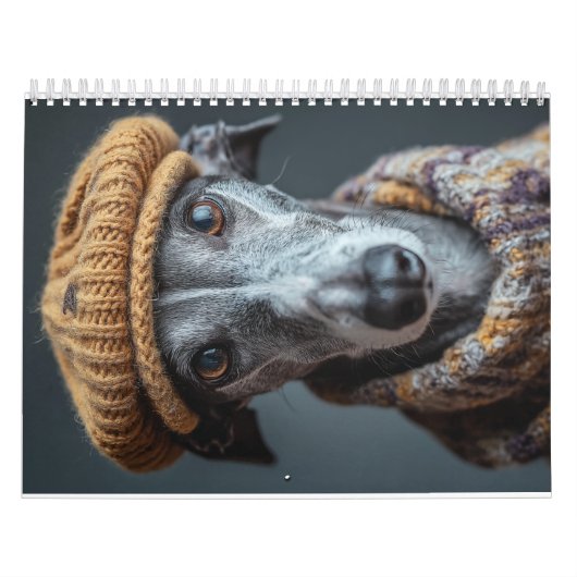 Windhund Kalender (Titelbild)