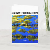 Windhund-Karte Karte (Rückseite)