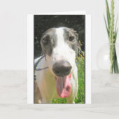 Windhund-Karte Karte (Vorderseite)