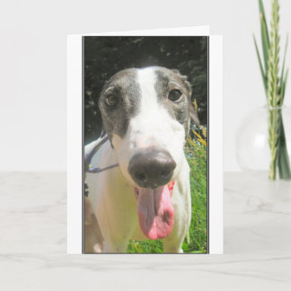 Windhund-Karte Karte