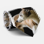 Windhund Krawatte (Gerollt)