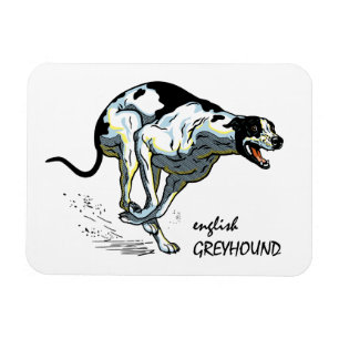 Windhund Magnet