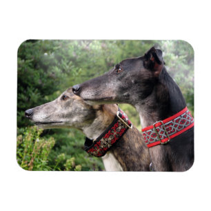 Windhund-Magnet von Alice und Shadow Magnet
