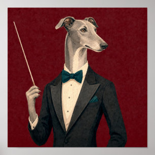 Windhund-Orchesterdirigent mit Smoking und B Poster
