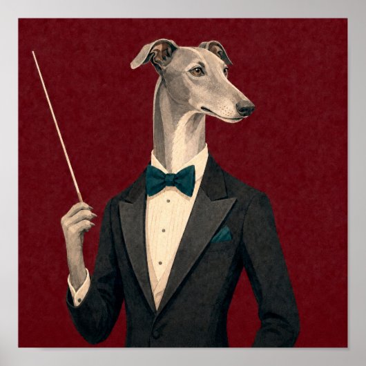 Windhund-Orchesterdirigent mit Smoking und B Poster (Vorne)