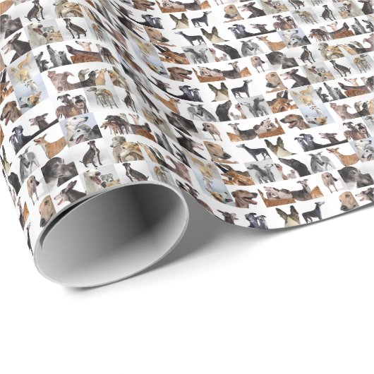 Windhund-Packpapier Geschenkpapier (Rolleneckpunkt)