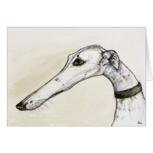Windhund-Porträt-Illustration