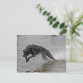 Windhund Postkarte (Stehend Vorderseite)