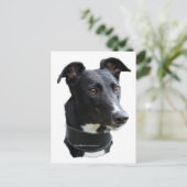 Windhund Postkarte (Stehend Vorderseite)