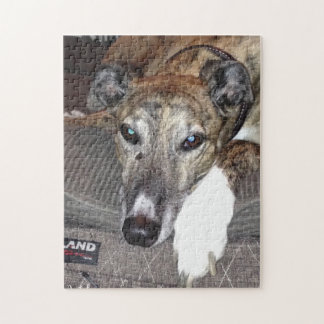 Windhund-Puzzlespiel Puzzle